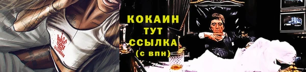 дживик Осинники