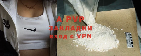 дживик Осинники