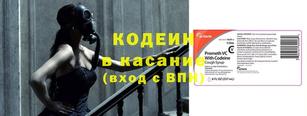 ешки Новодвинск