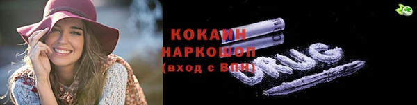 дживик Осинники