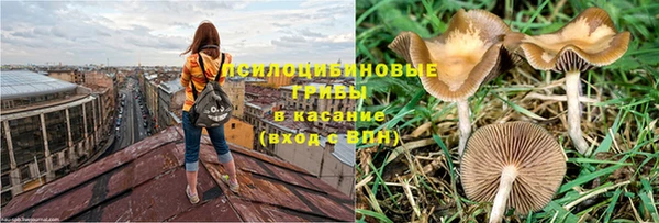 Альфа ПВП Остров