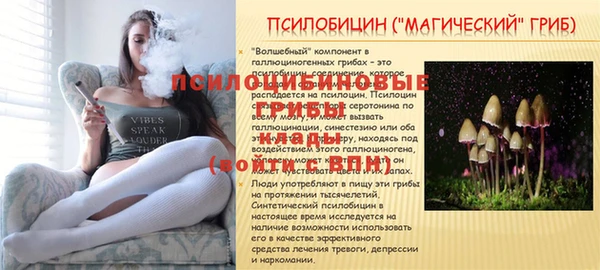 эйфоретик Нягань