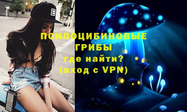 PSILOCYBIN Тихвин
