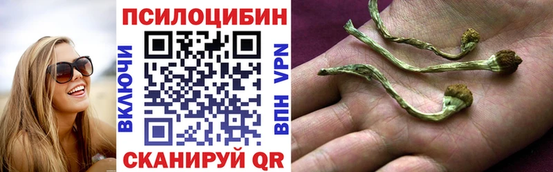 Псилоцибиновые грибы ЛСД Касли