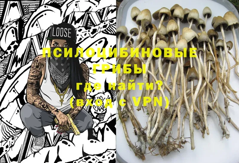 Псилоцибиновые грибы Magic Shrooms  Касли 